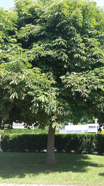 Budget Hotel Melun Sud - Dammarie Les Lys Esterno foto